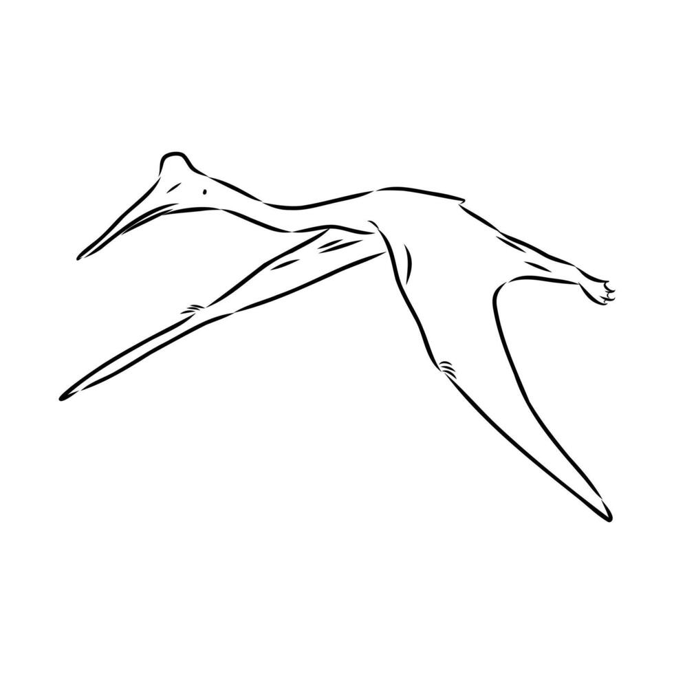 azhdarchid flying dinosaur vector