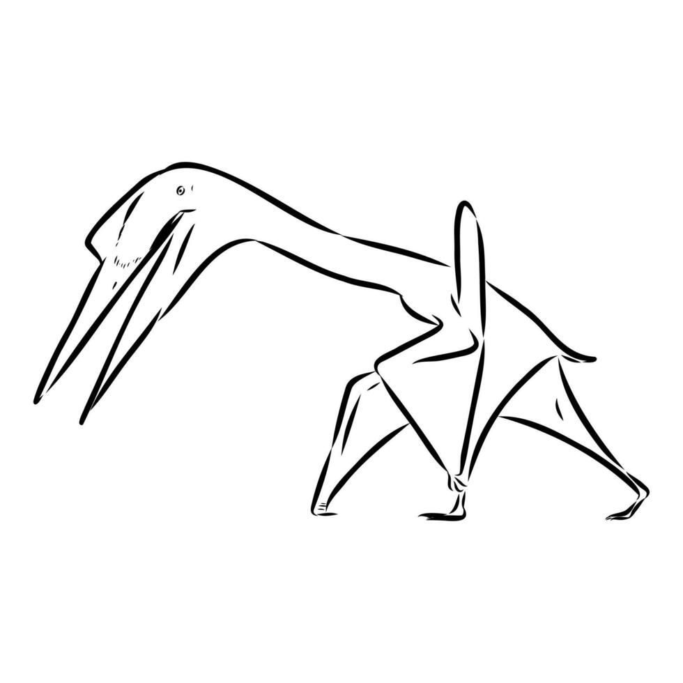 Dinosaur azhdarchid black and white sketch vector