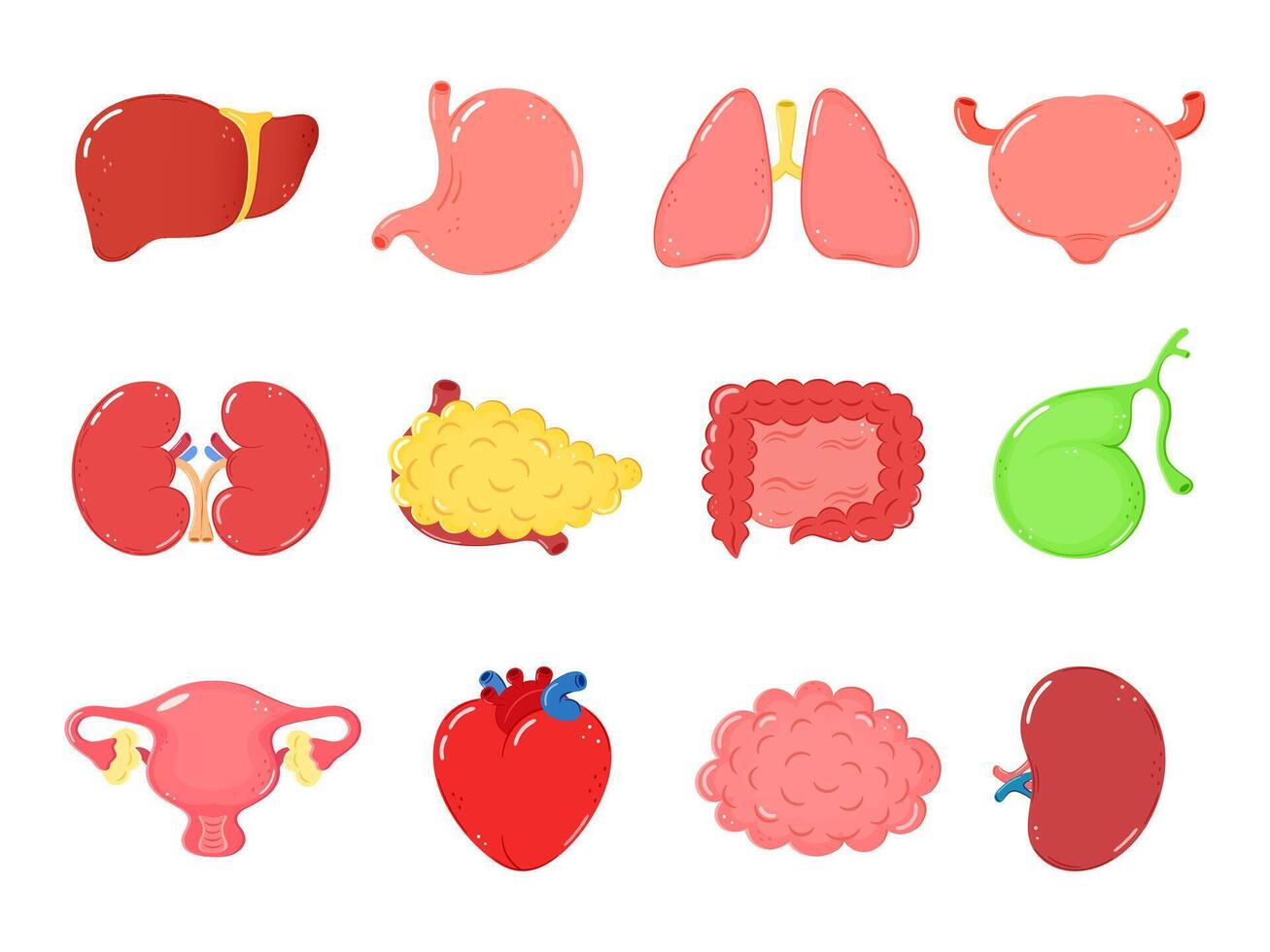 Human Internal Organs Cute Cartoon Organ Characters in a Cheerful Illustration Set vector