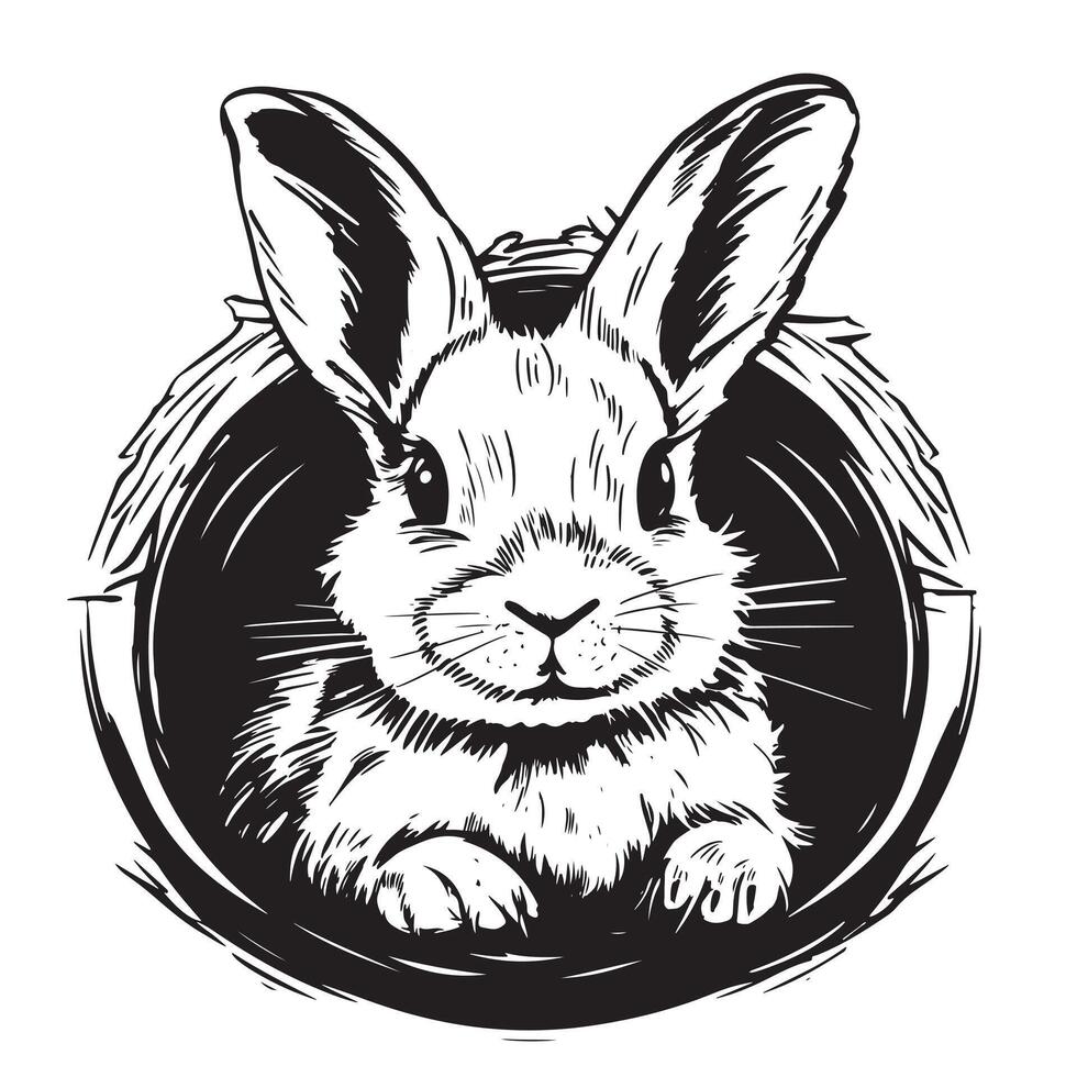 face rabbit portrait, vintage graphic illustration, design for posters and postcard vector