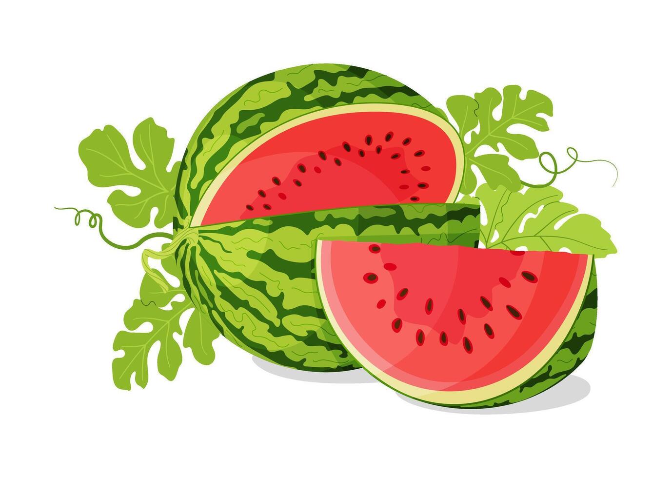 Red watermelon slices and green leaves. Botanical fruit berry composition. Hand drawn trendy flat style isolated icon on a transparent background for card design, print, banner, packaging, label vector