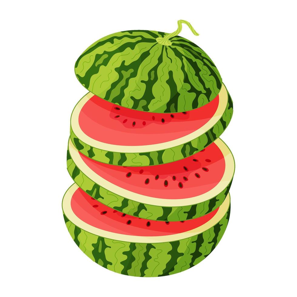 Sliced watermelon. Fresh red chopped watermelon flying in the air. Slice of juicy summer fruit. Healthy vegetarian snack, cut watermelon for design Hand drawn flat style isolated illustration vector