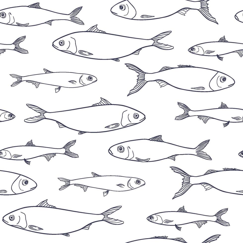 Anchovies black white seamless pattern isolated. Sea fishes contour hand drawn on monochrome repeated background. Silhouette Sardines, herring fish line art for design packaging, textile. vector