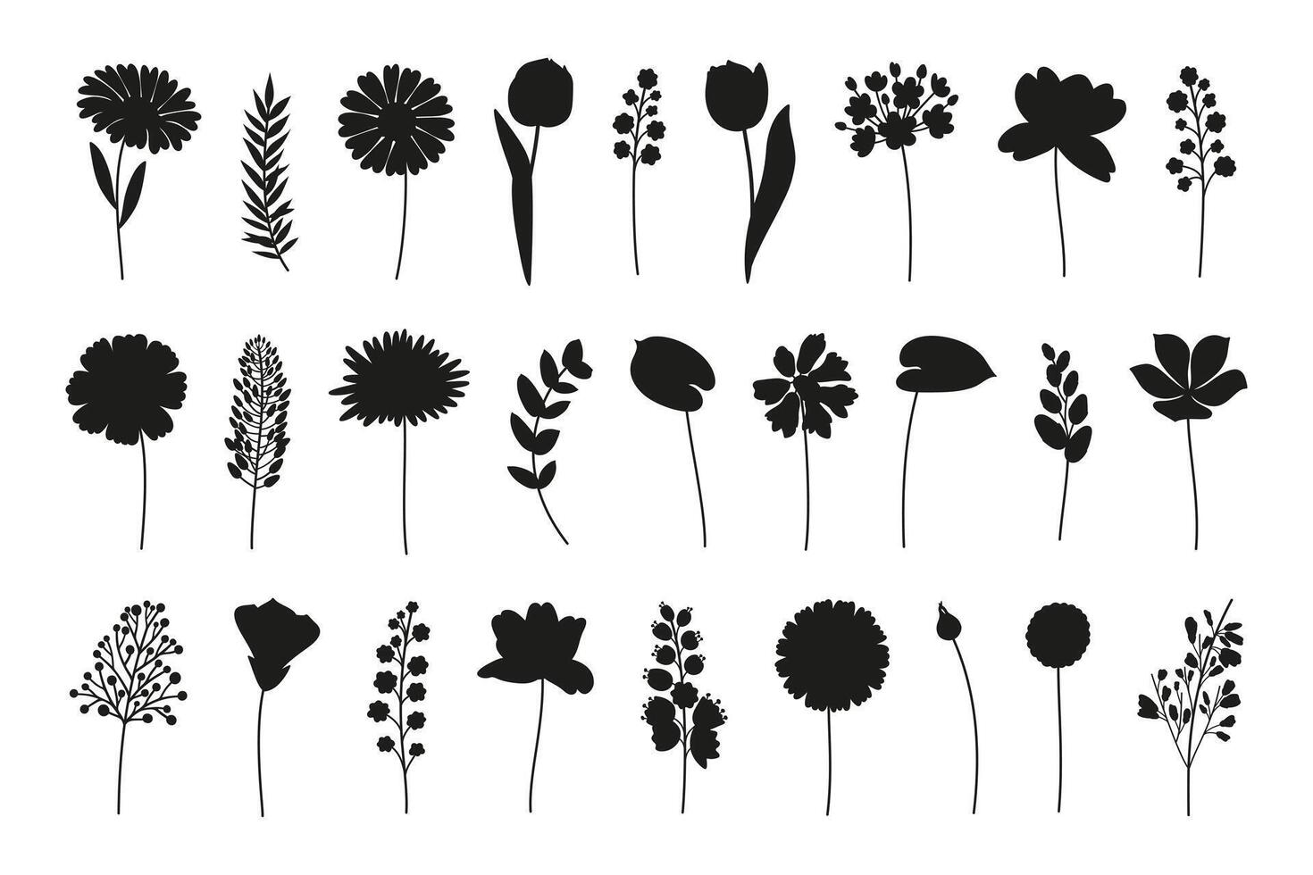 Wildflowers set, different flowers in black silhouettes. Meadow herbs and botanical wild plants for design projects vector