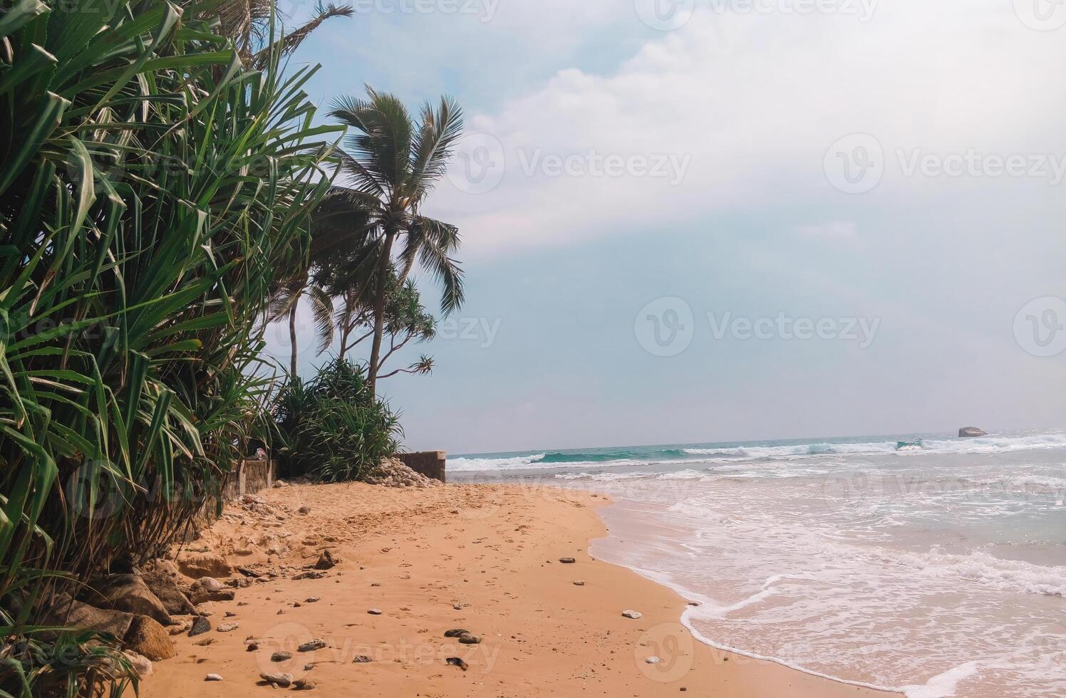 Tropical beach with golden sand, lush green palm trees, and ocean waves under a clear sky photo