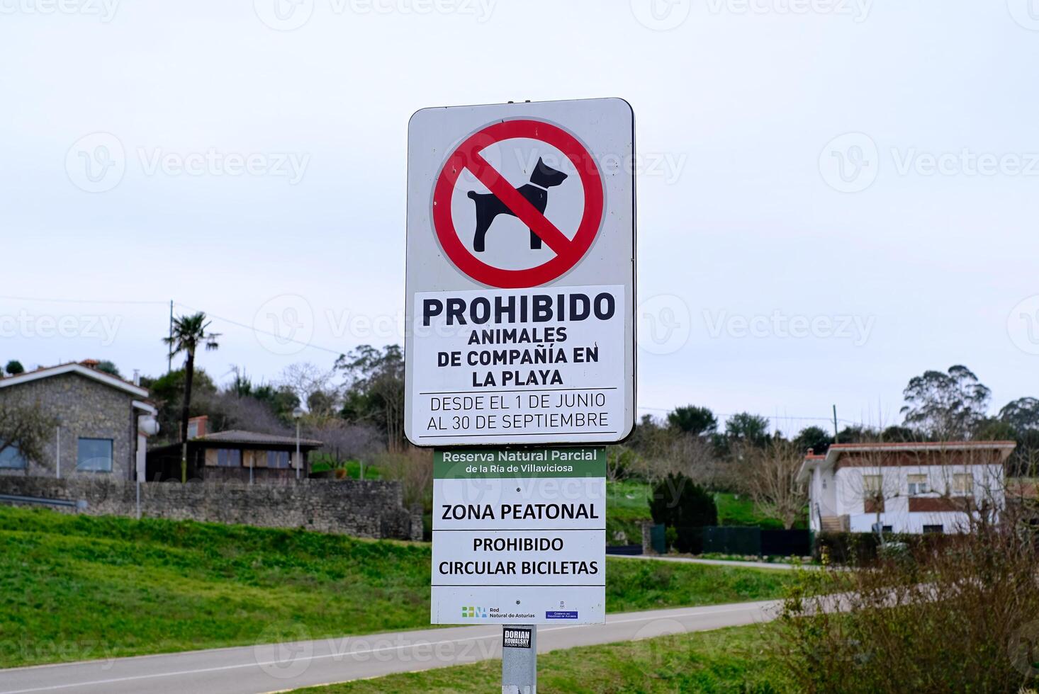 A sign that says Prohibido Animal en la Compania is on a pole. photo