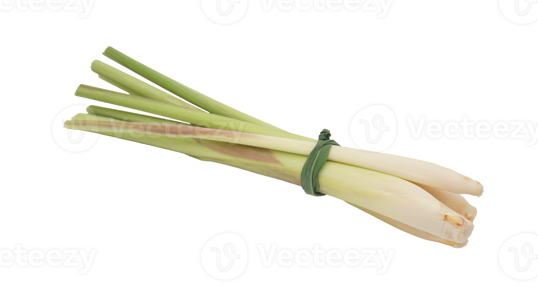 A Bunch of Fresh Lemongrass on Transparent Background png