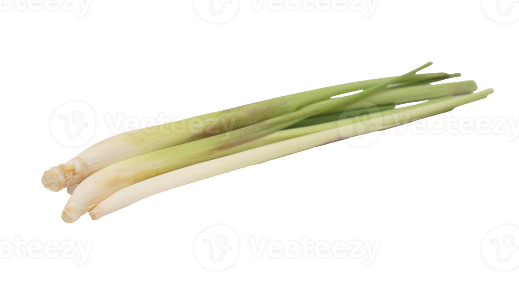 Stalks of Lemongrass on Transparent Background png