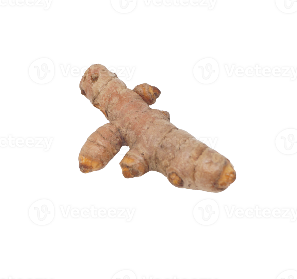 Single Turmeric Spice on Transparent Background png