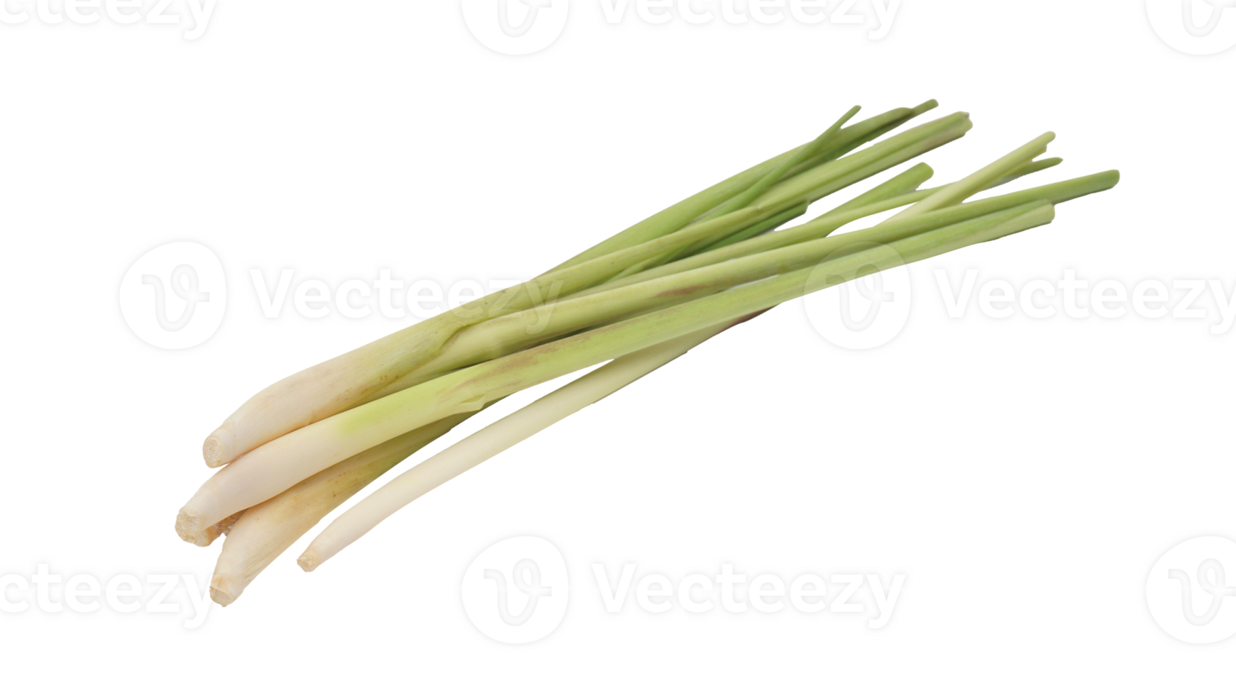 Stalks of Lemongrass Spice on Transparent Background png