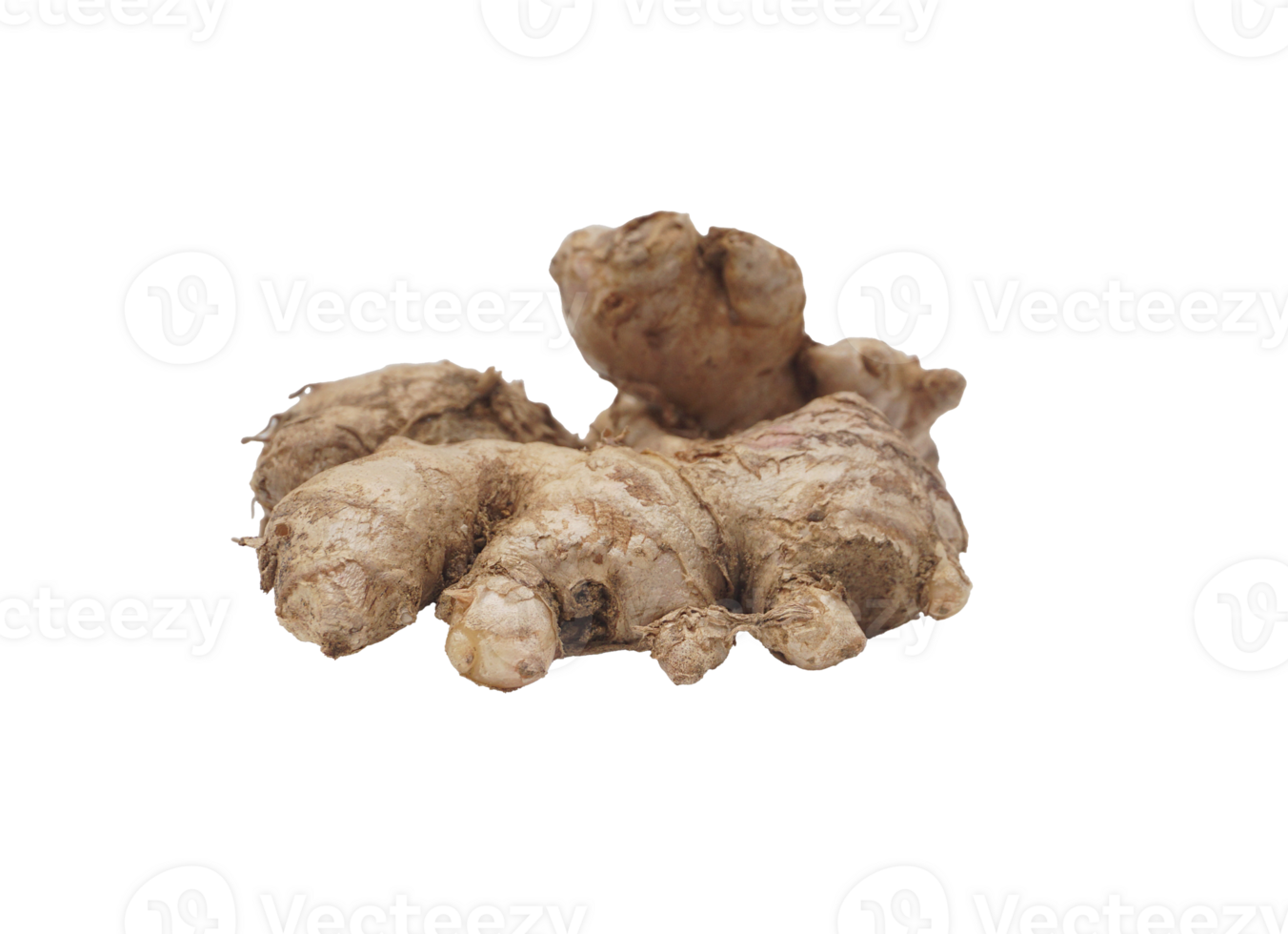 Single Ginger on Transparent Background png