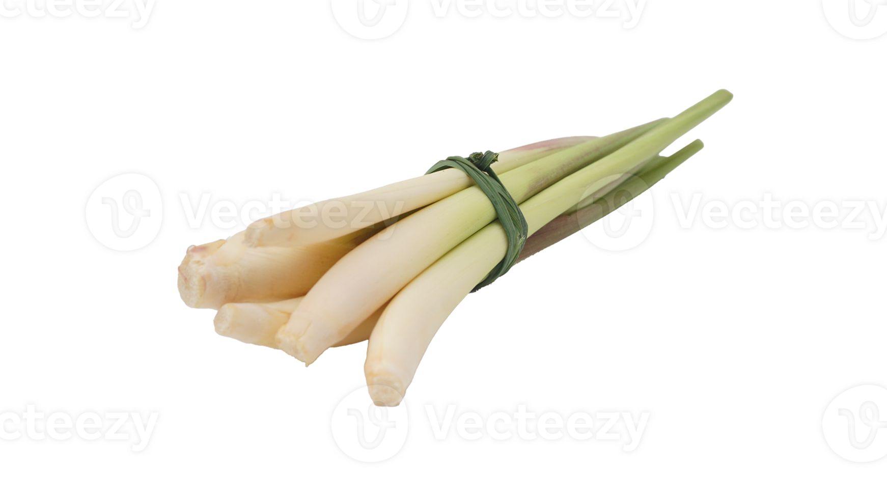 Stalks of Fresh Lemongrass Spice on Transparent Background png