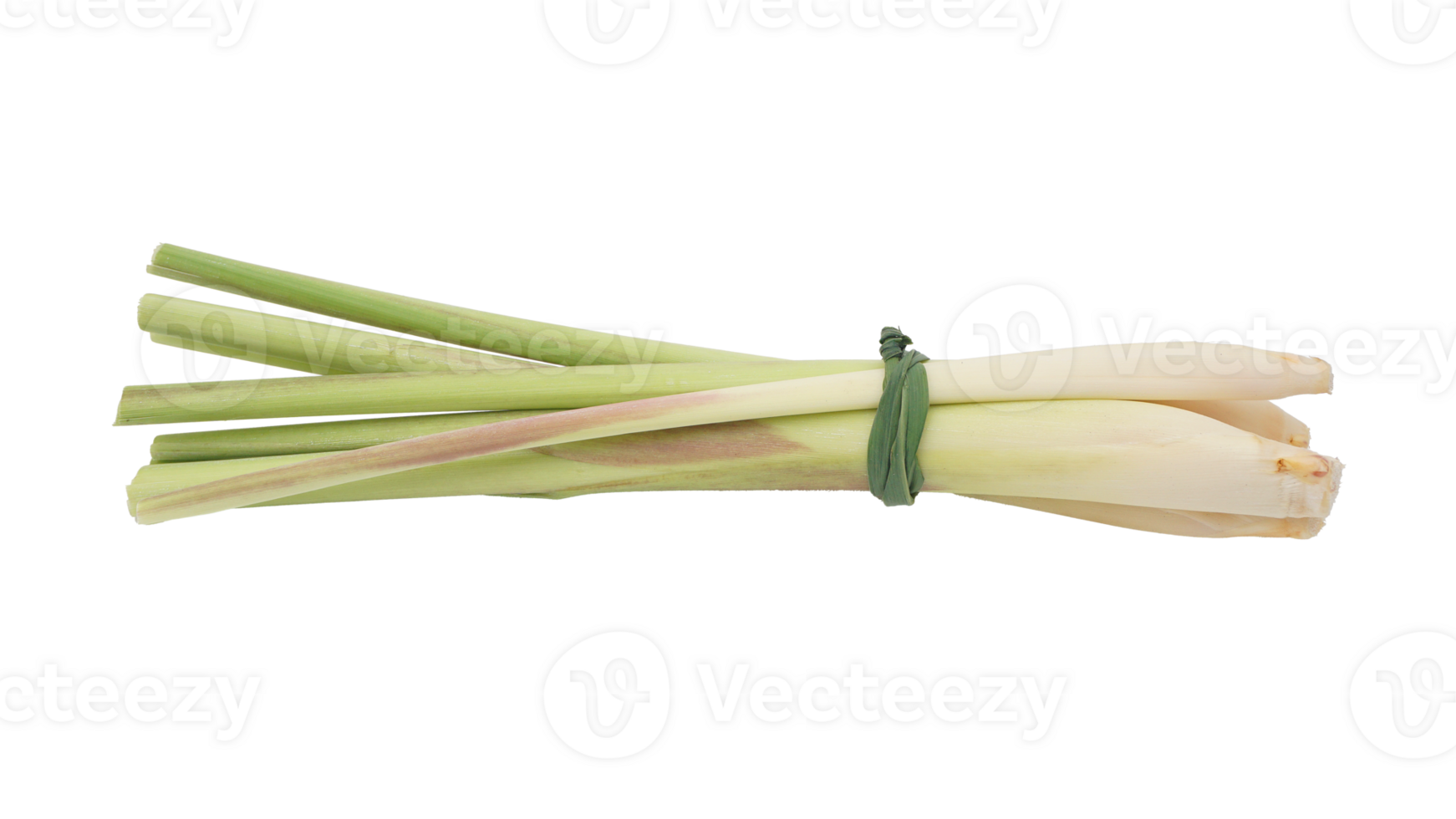 A Bunch of Stalks of Lemongrass Spice on Transparent Background png