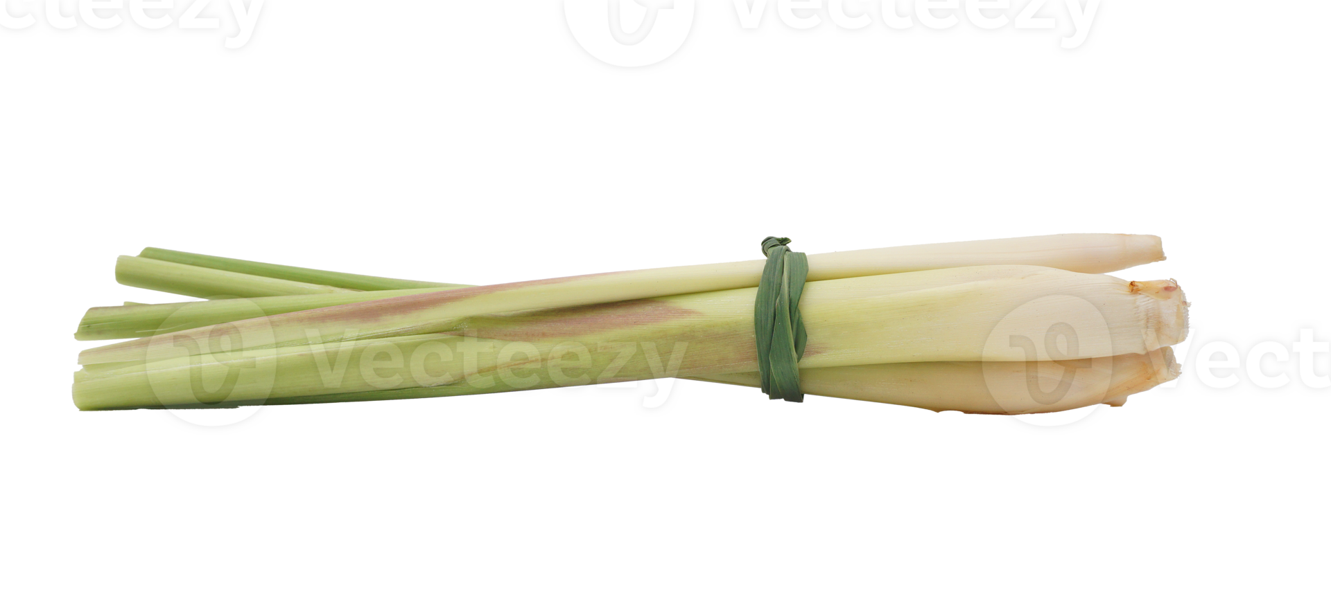 A Bunch of Stalks of Fresh Lemongrass Spice on Transparent Background png