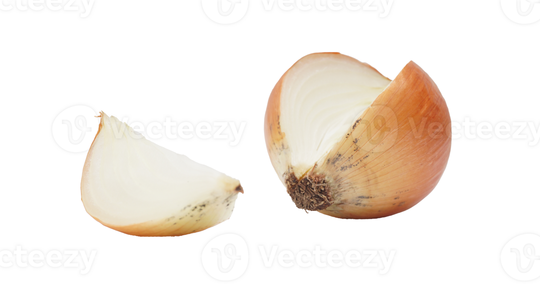 Sliced Whole Onion on Transparent Background png