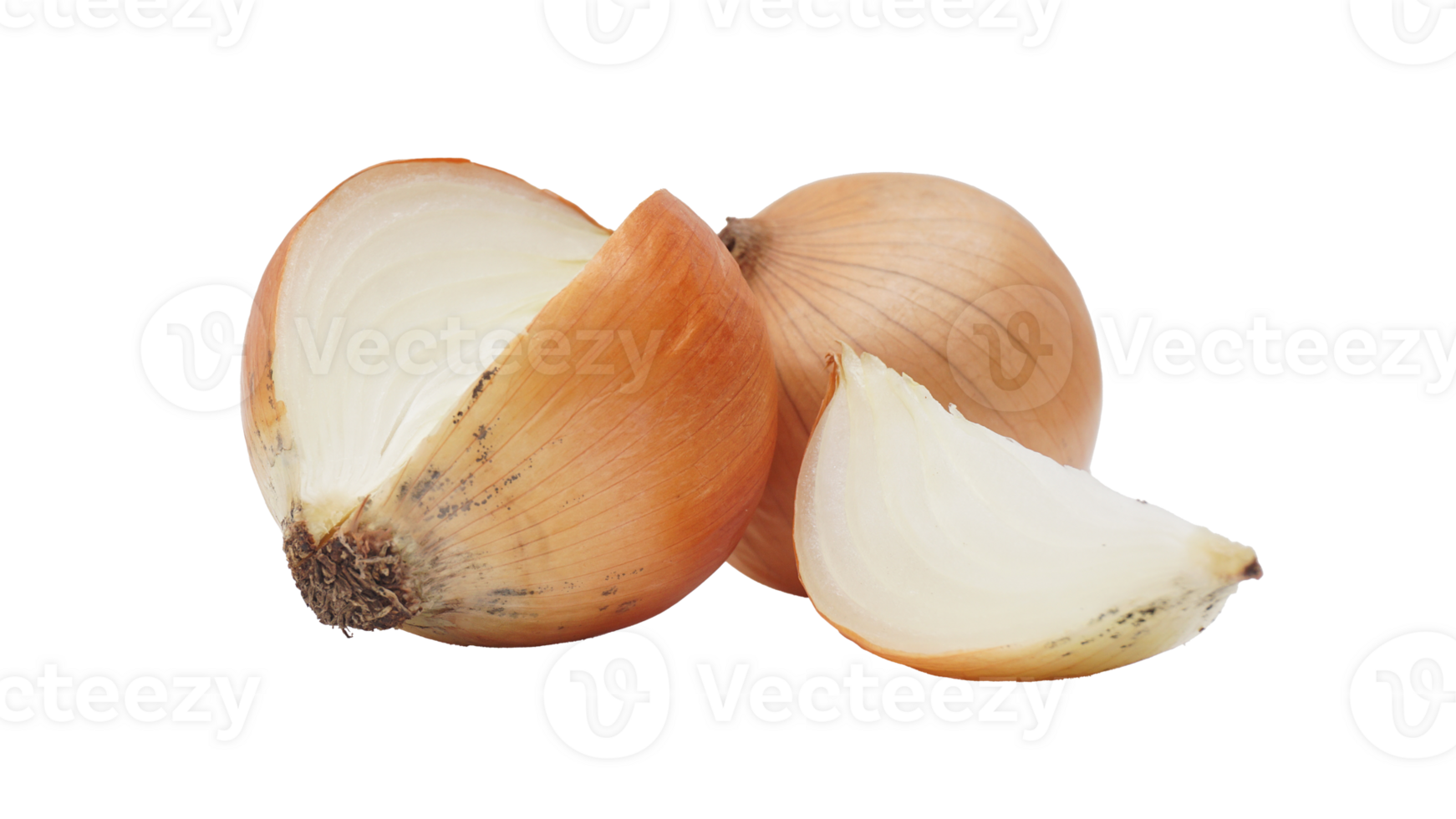 Set of Onion on Transparent Background png