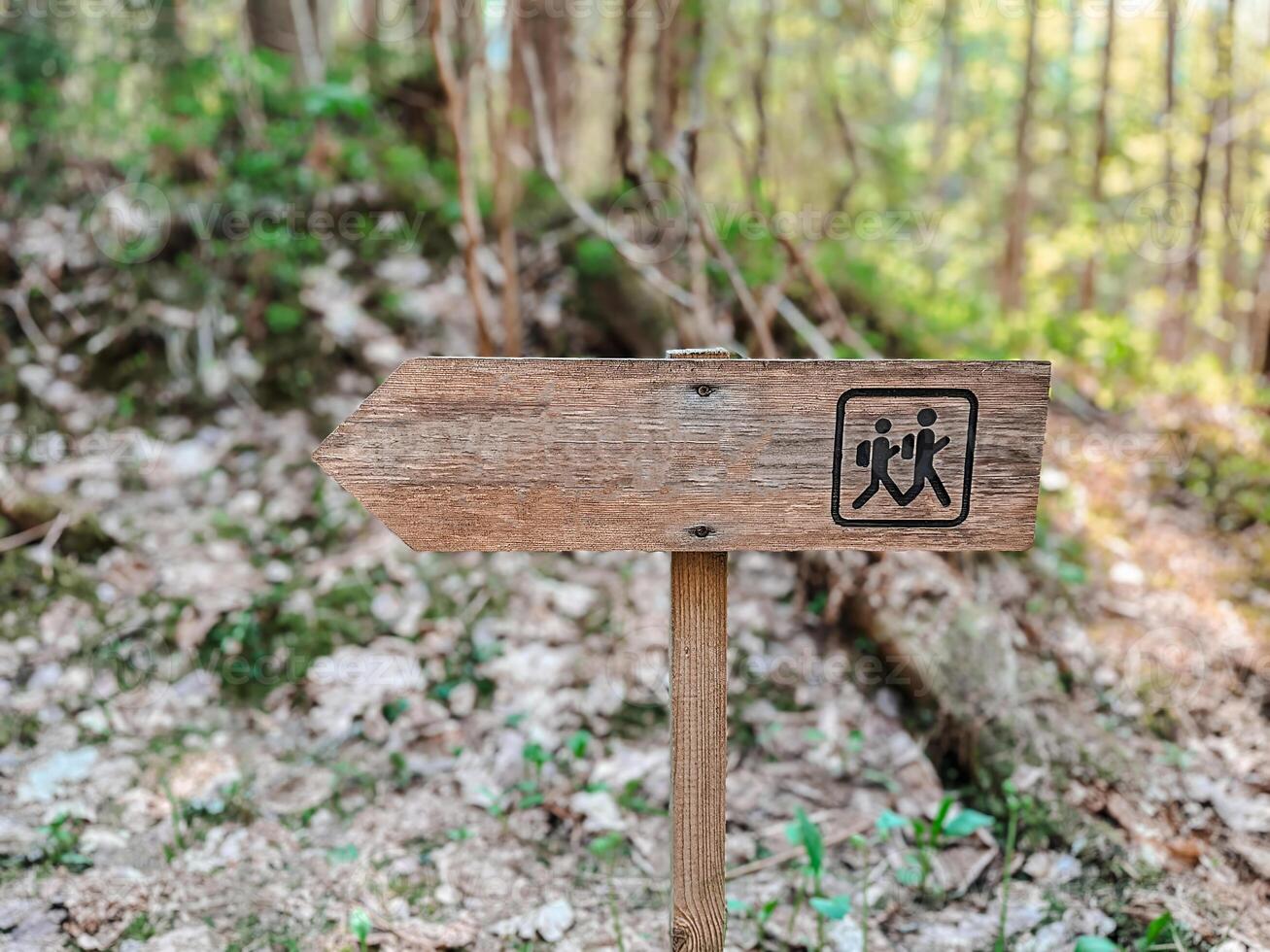 Wooden hiking trail sign in a lush forest. photo