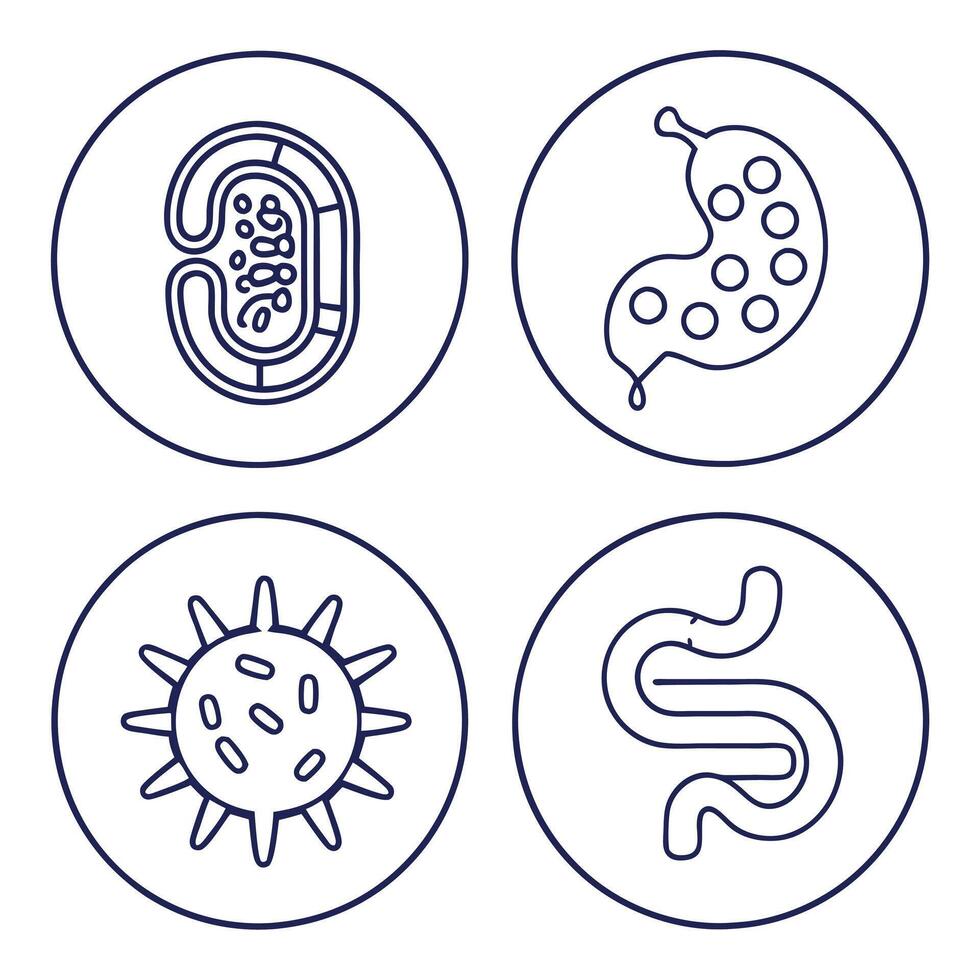 Digestive System Editable Stroke Outline Icons vector