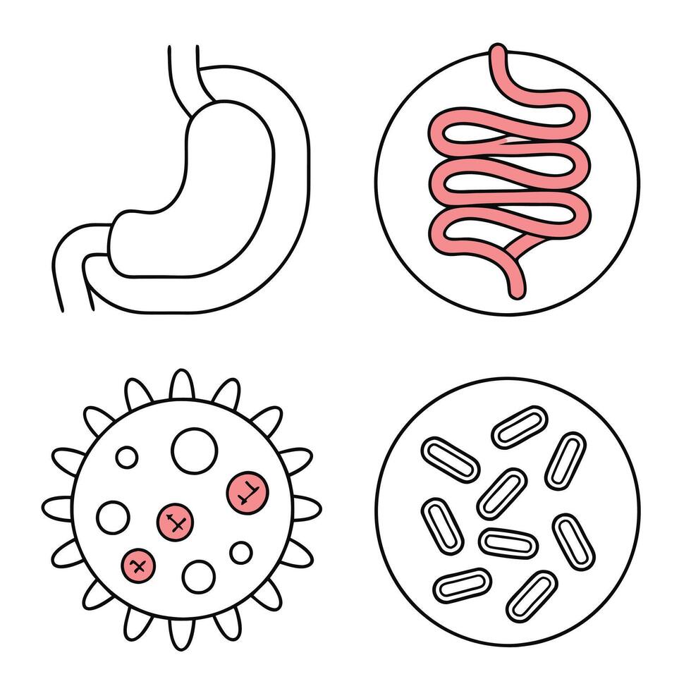 Stomach, Digestion, and Intestinal Health Icons vector