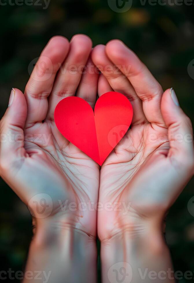 ed paper heart lies in the palms of your hands photo