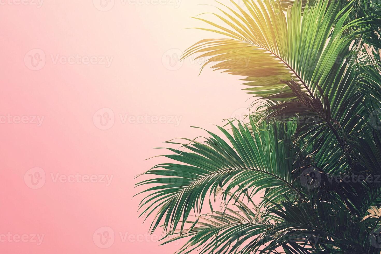 Composition of natural tropical palm branches on muted pink background. Horizontal tropical poster, banner template with space for text. Generated by artificial intelligence photo