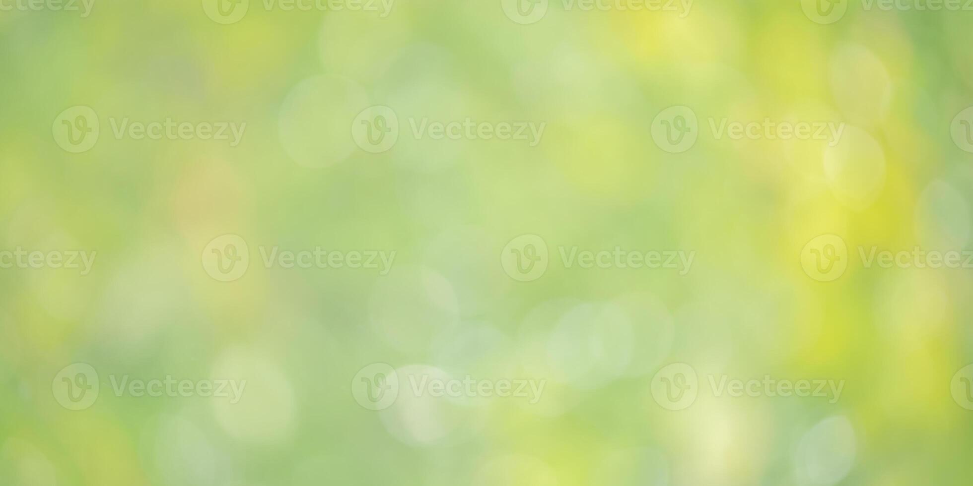 Defocus light green natural background with greenery. Blurred leaves, bokeh. photo