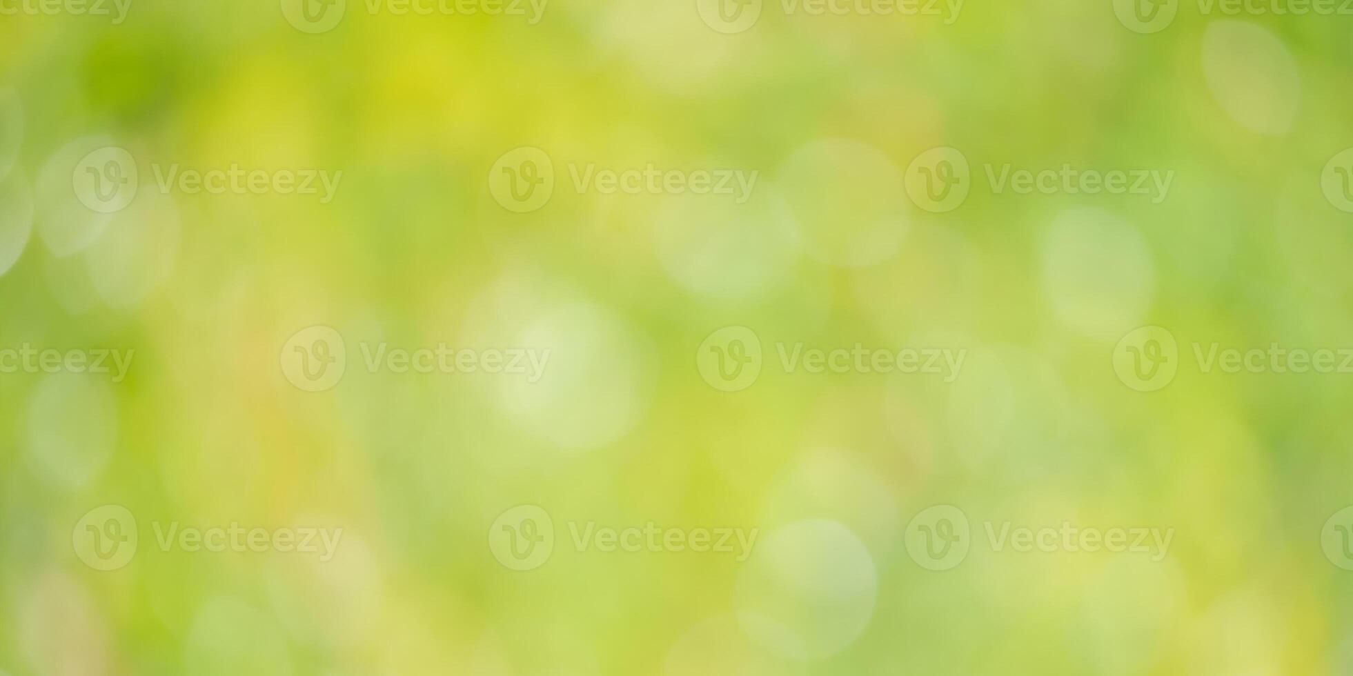Abstract green natural background of blurred leaves. Defocus lights on a background of greenery. photo
