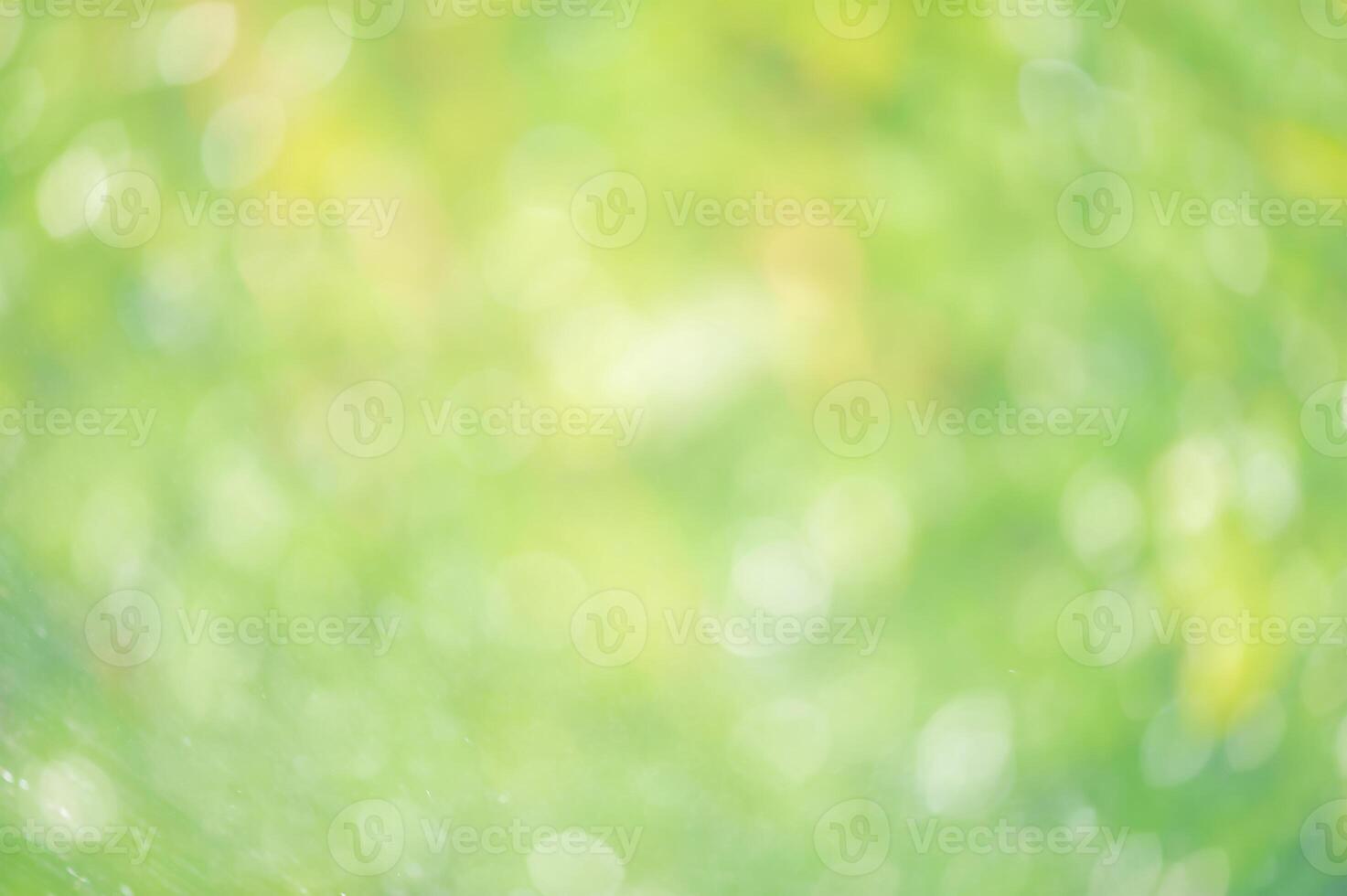 Defocused lights background natural green, yellow and white. photo