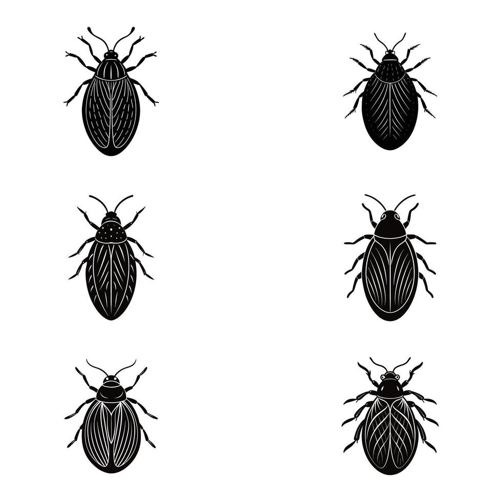 four different types of bugs on a white background vector