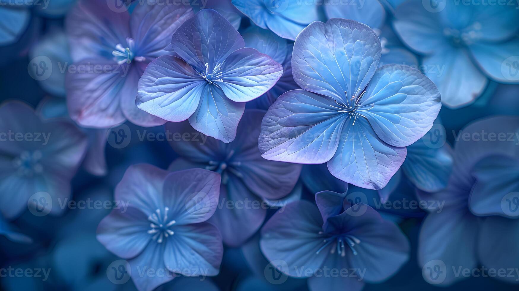 Closeup of electric blue flowers on a matching background photo