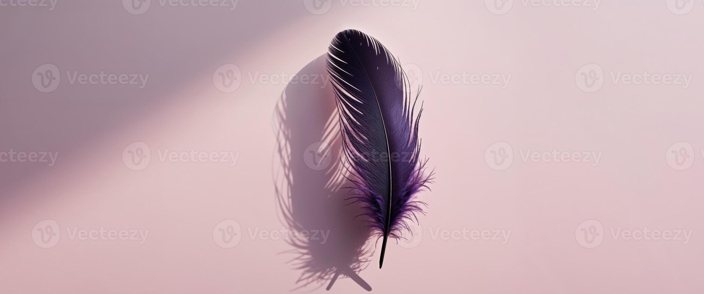 Dark purple feather casting shadow on a pastel pink background. photo