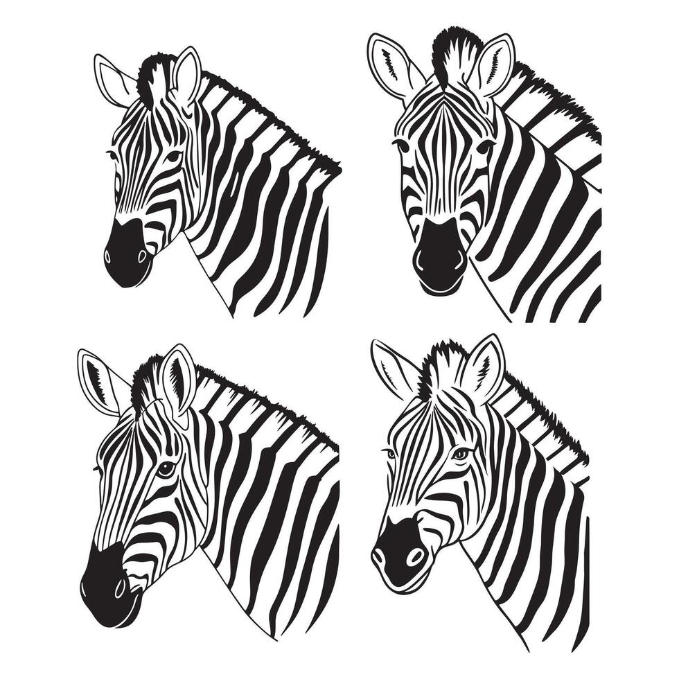 Cute Zebra illustration vector