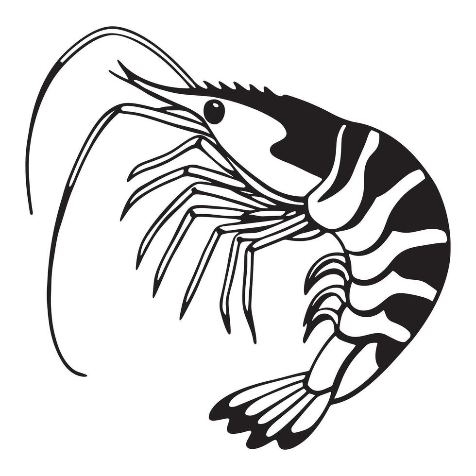 Cute illustration of cartoon shrimp vector