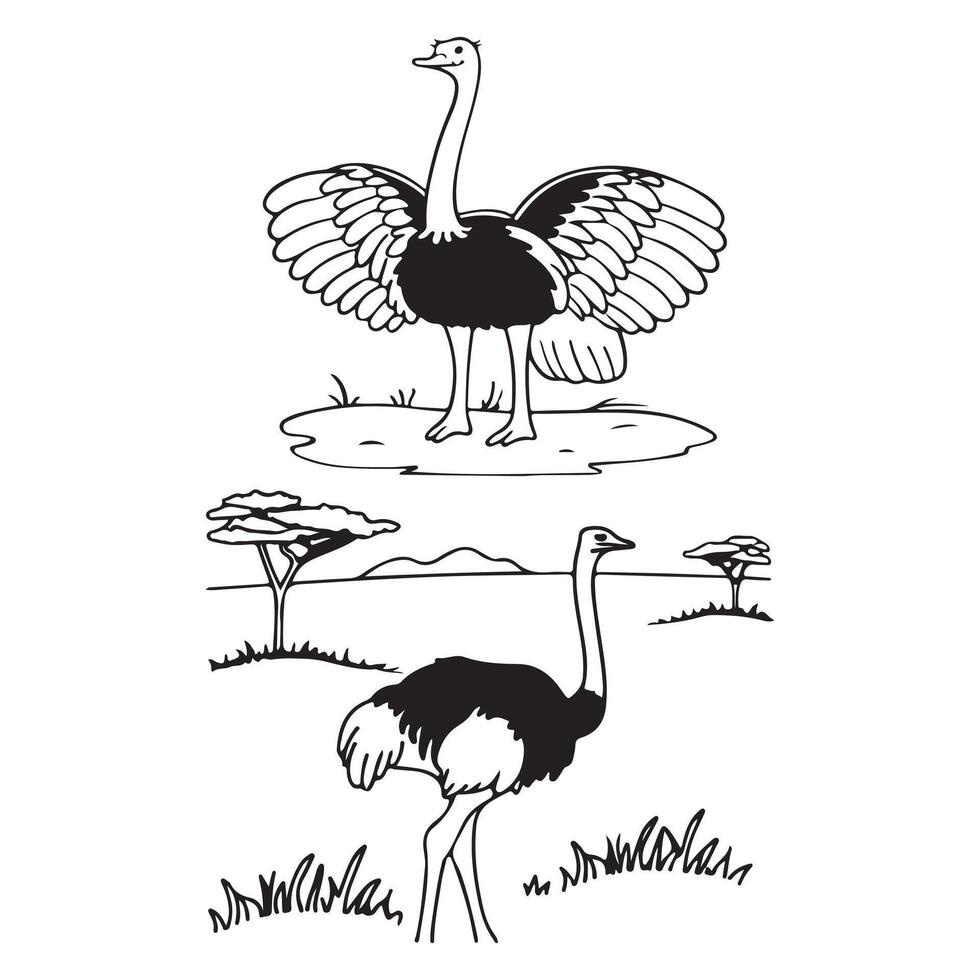ostrich cartoon illustration vector