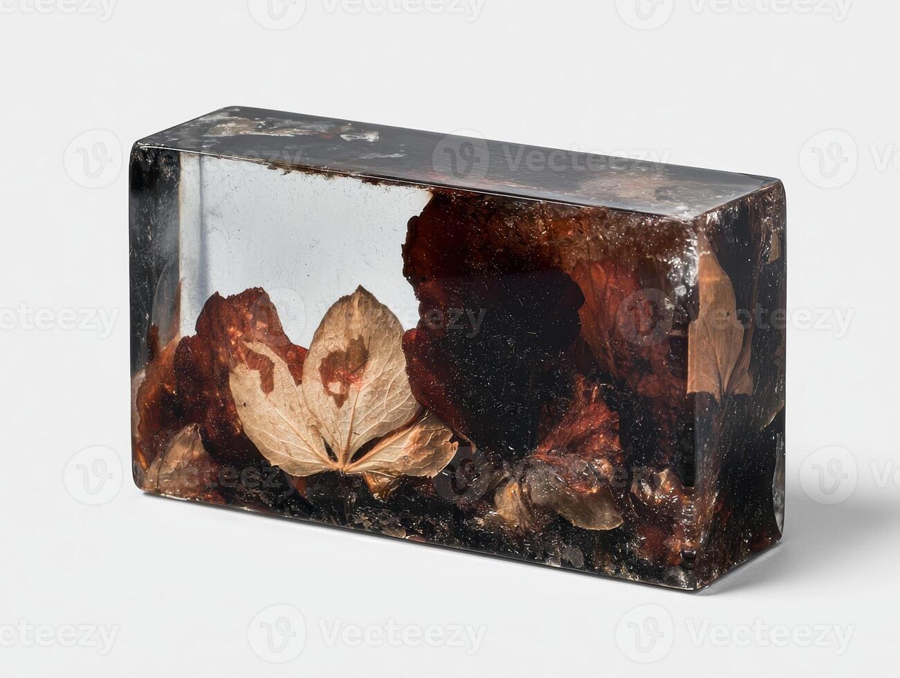 Dried leaves encased in clear resin block photo