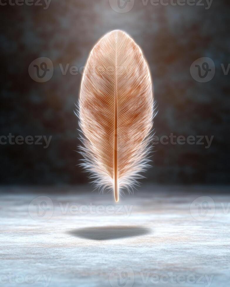 A single feather floating above a surface photo