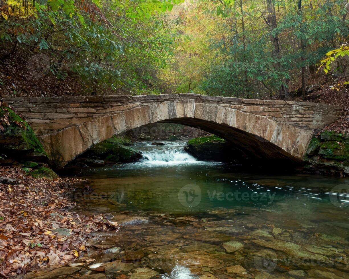 Stone bridge over a creek in a forest photo