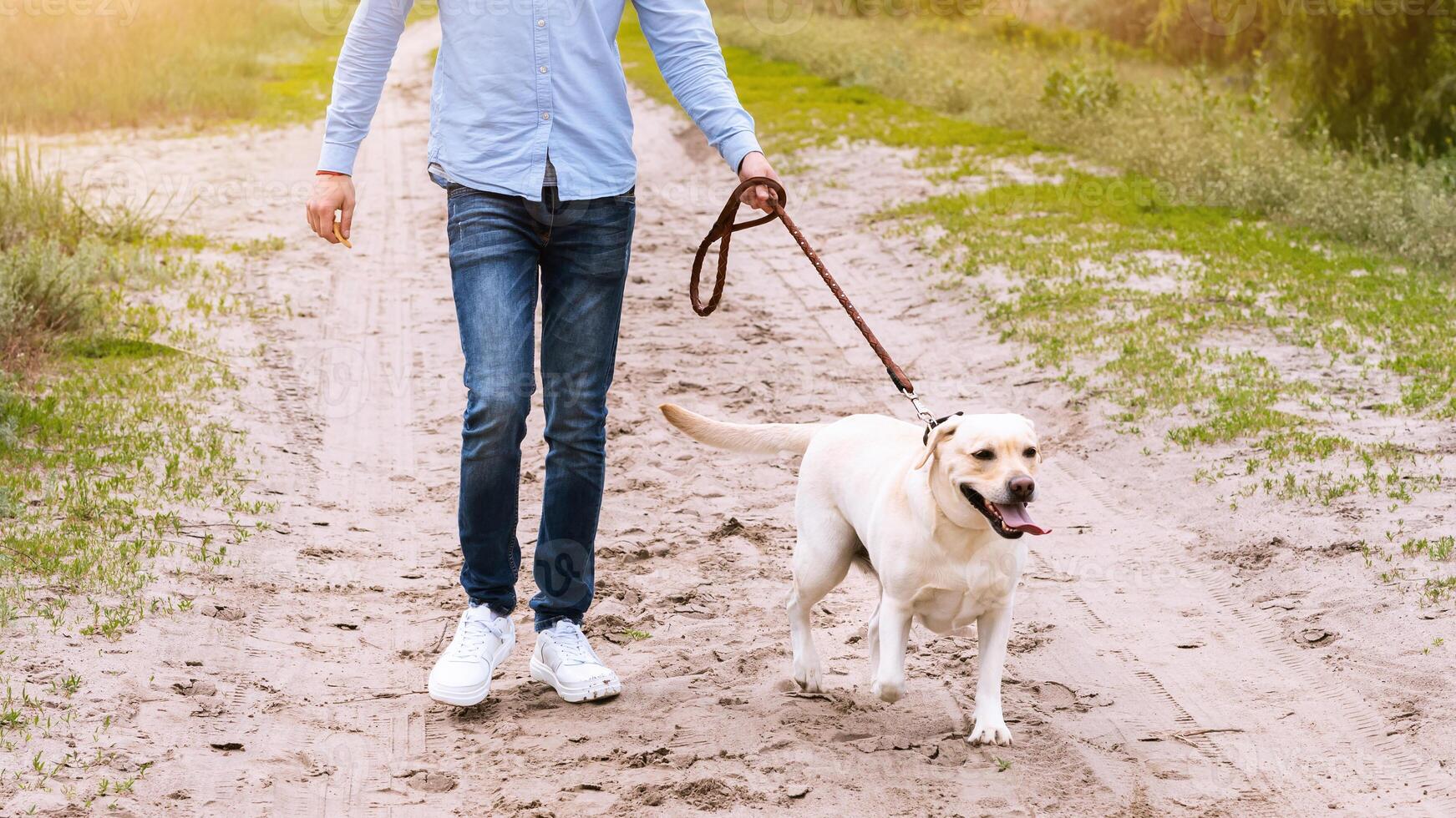 Healthy Lifestyle Concept. Excited man and his golden retriever walking in countryside, dog is on a leash, copy space photo