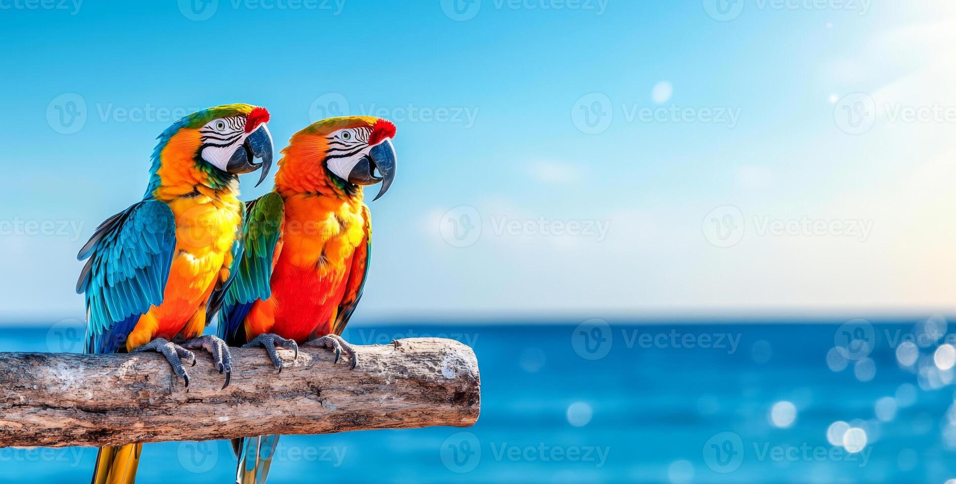 Two colorful macaws sit closely on a wooden log, gazing out over a shimmering tropical ocean. The warm sunlight enhances the vivid hues of their feathers against a serene blue backdrop. photo