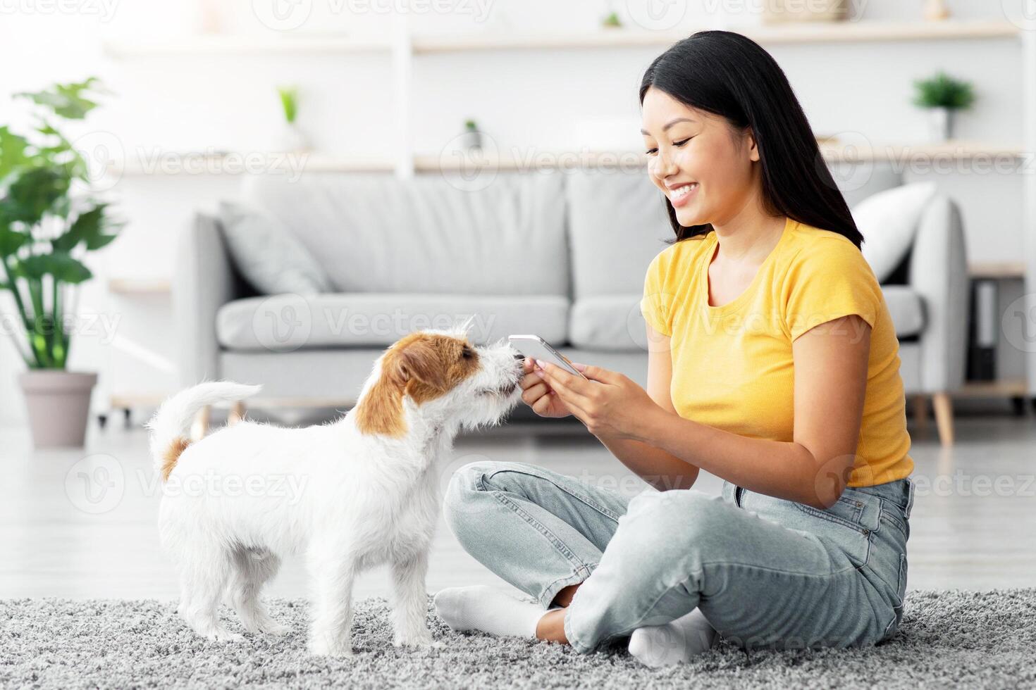 Happy young asian woman in casual sitting on floor in living room with mobile phone, taking photo of her playful cute dog jack russel terrier puppy while playing together at home, copy space
