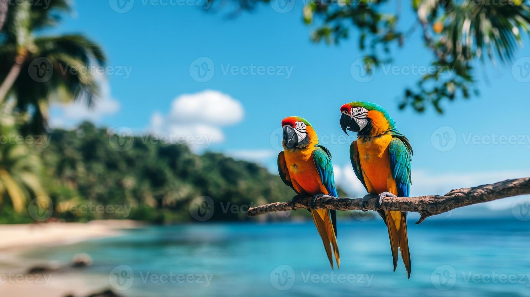 Two vibrant macaws sit together on a branch, overlooking a stunning tropical beach and calm ocean waters. Lush greenery surrounds them, creating a perfect vacation atmosphere in paradise. photo
