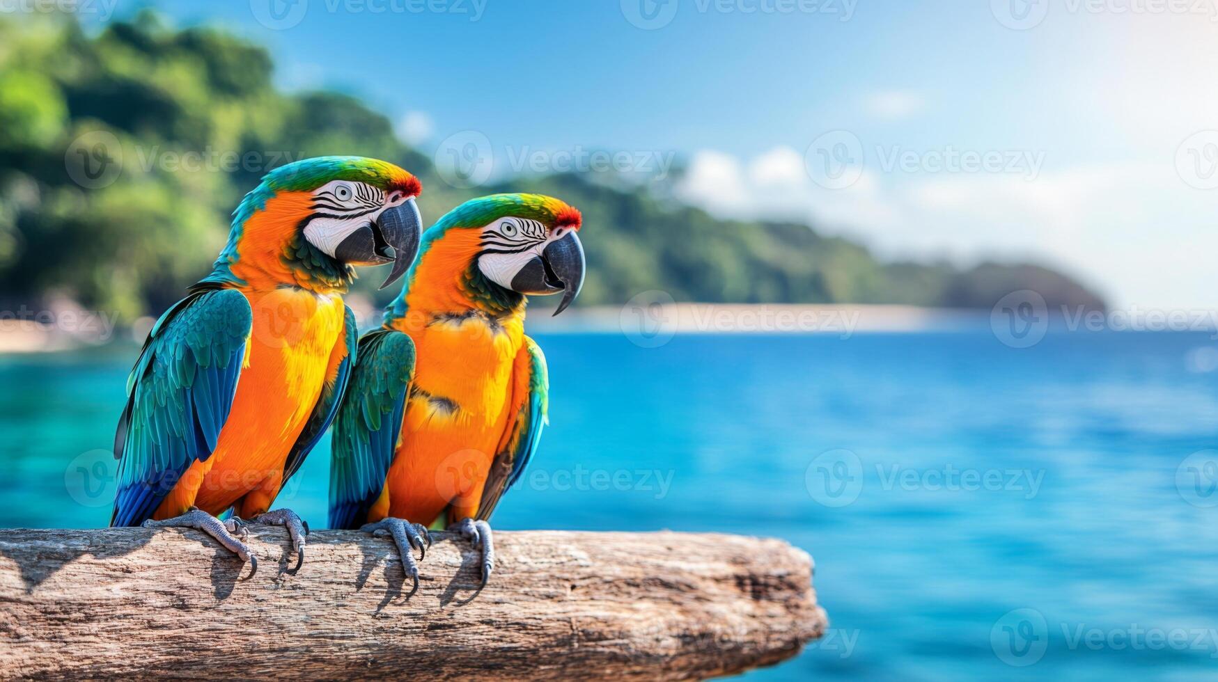 Two vibrant macaws sit side by side on a wooden log overlooking the sparkling blue ocean. Lush tropical greenery is visible in the background, creating a perfect vacation setting under a sunny sky. photo