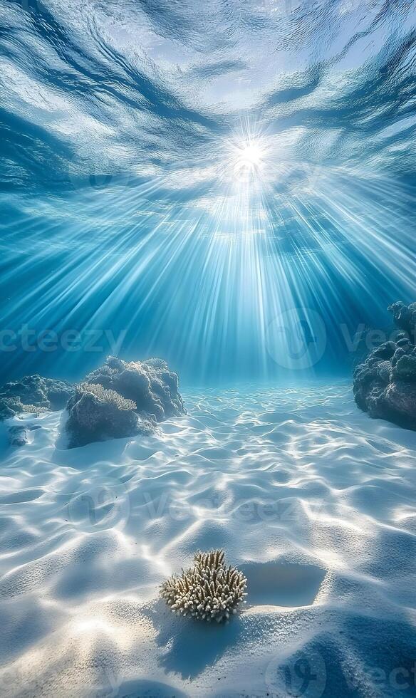 Sunlight filtering through ocean water illuminates a vibrant underwater seascape photo