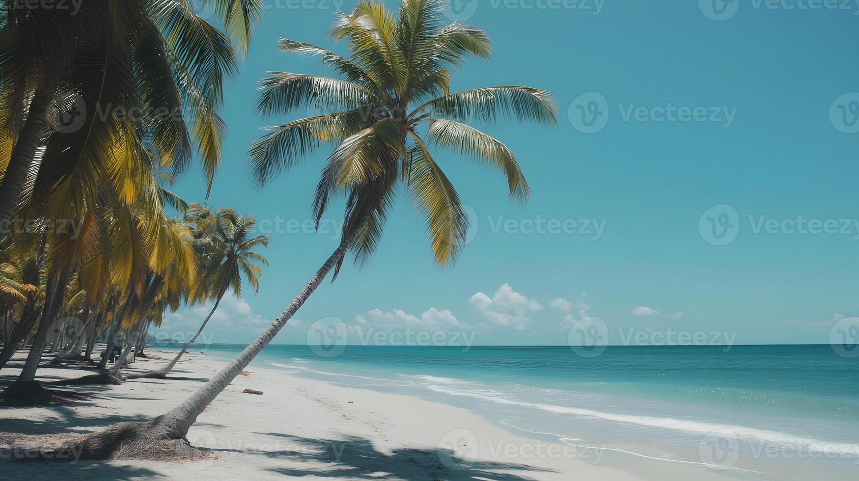 Serene Tropical Beach with Palm Trees and Azure Sea for Relaxing Vacation Vibes photo