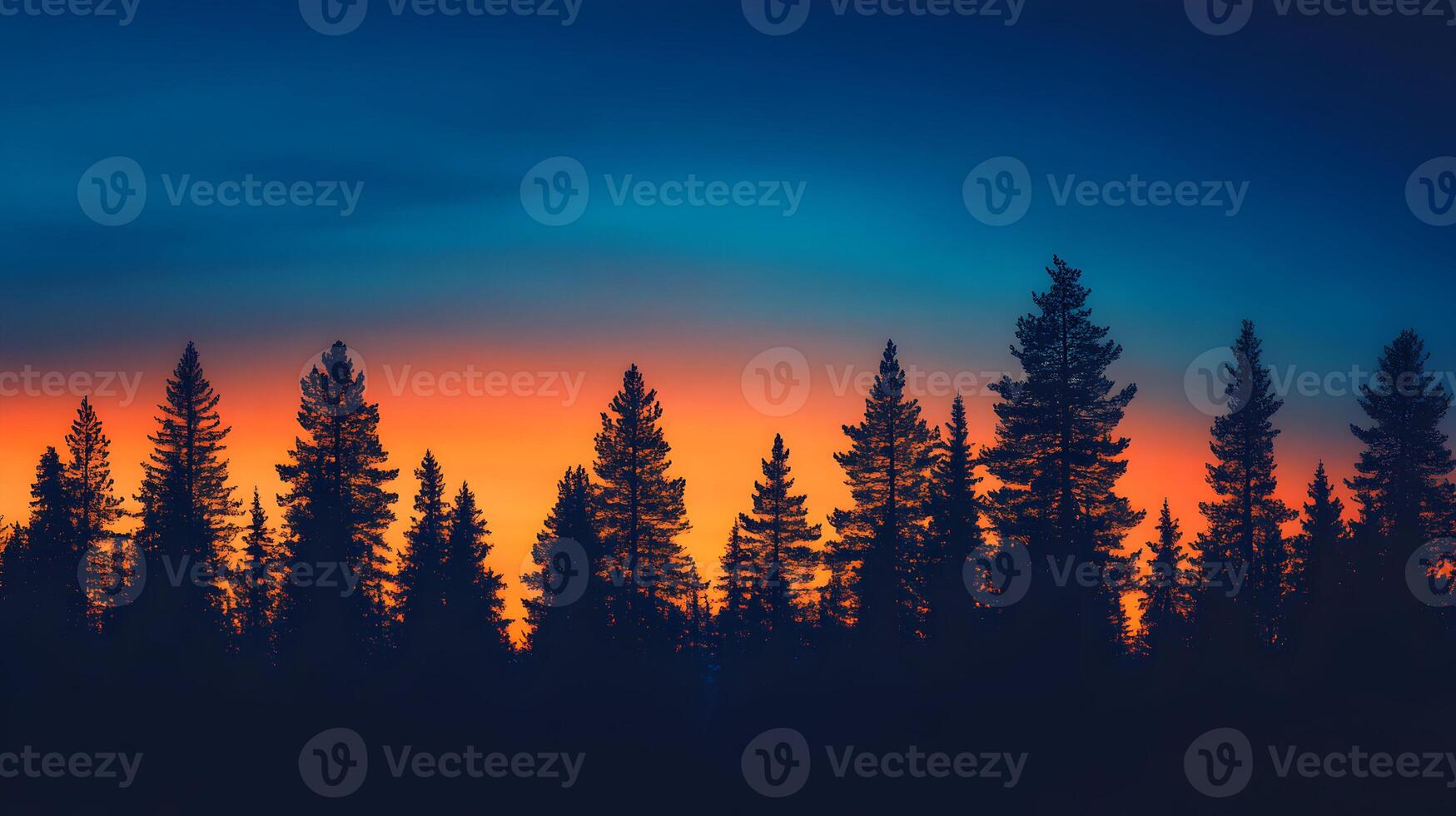 Silhouette of Evergreen Trees Against a Vibrant Sunset Sky, a Serene Forest Scene photo