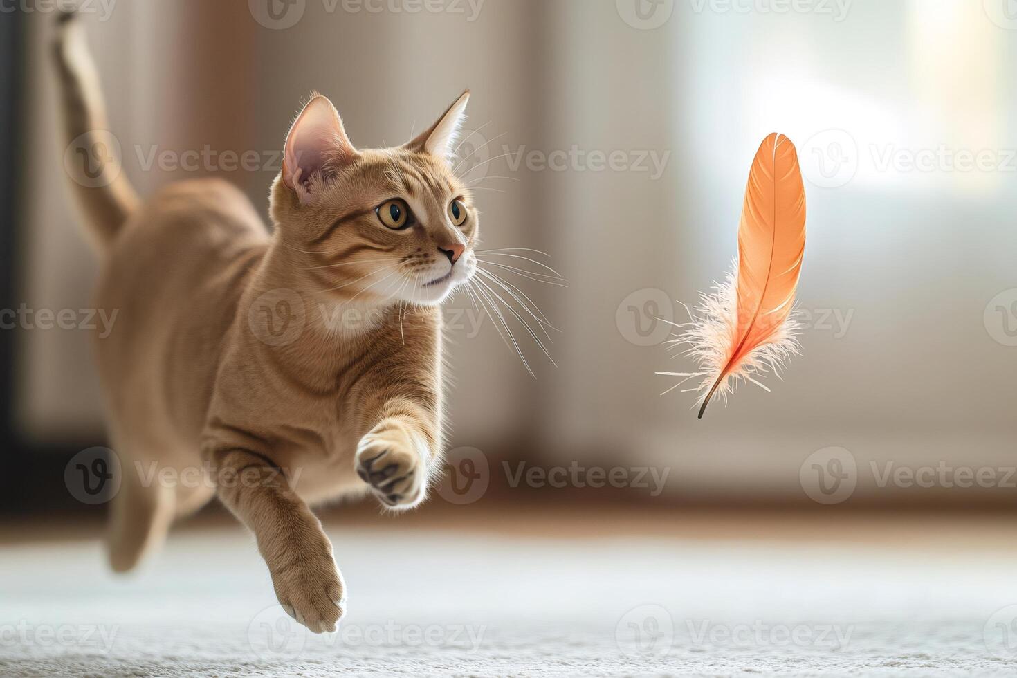 Ginger cat jumping and playing with feather photo