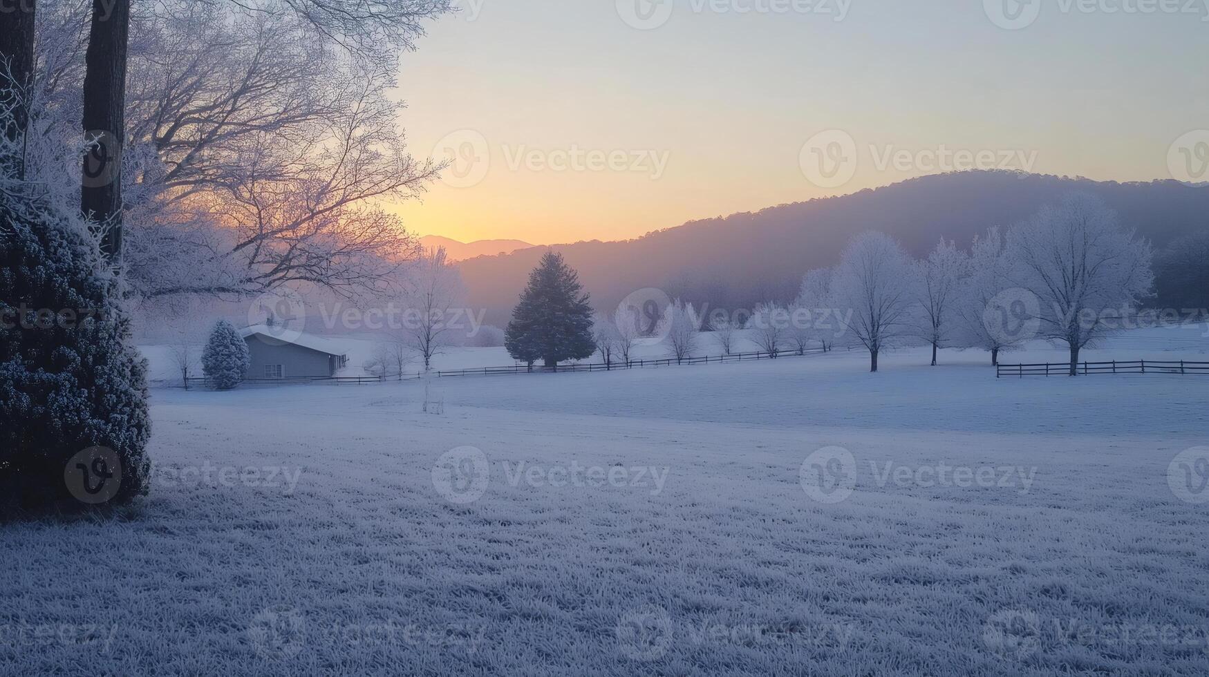Frozen winter wonderland landscape at sunrise with frost covering trees and grass photo