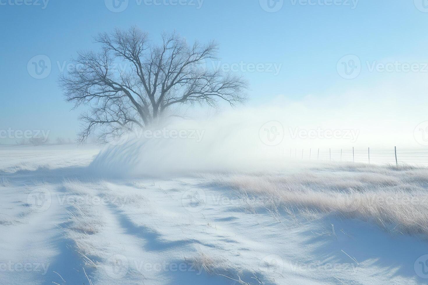 Snow Drift Blowing Across Open Field Landscape photo