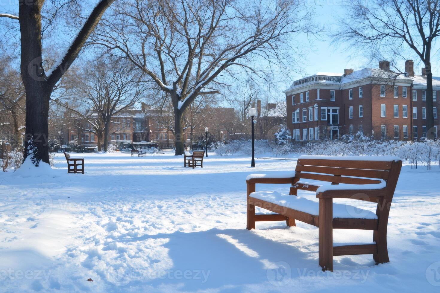 Snow covered benches inviting to sit and relax in a park during winter photo