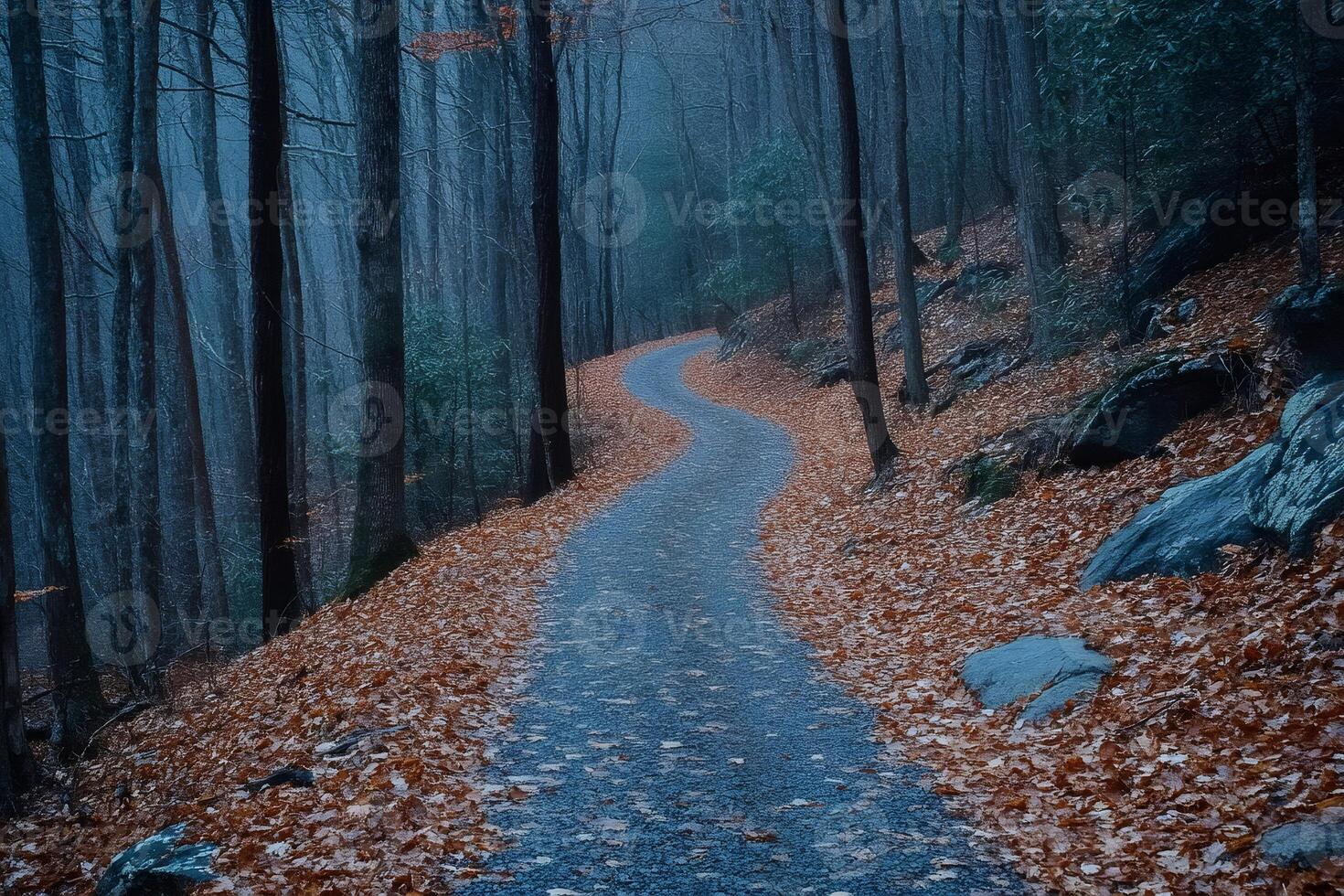 Serene Forest Pathway Covered in Autumn Leaves photo